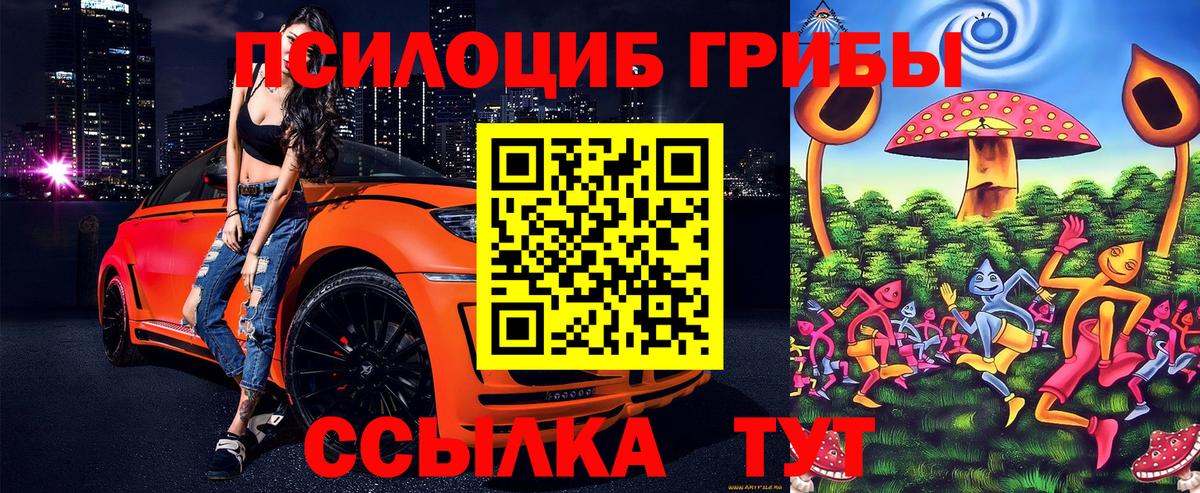 Галлюциногенные грибы MAGIC MUSHROOMS  Псилоцибиновые грибы Magic Shrooms  Александров  Вход с VPN 