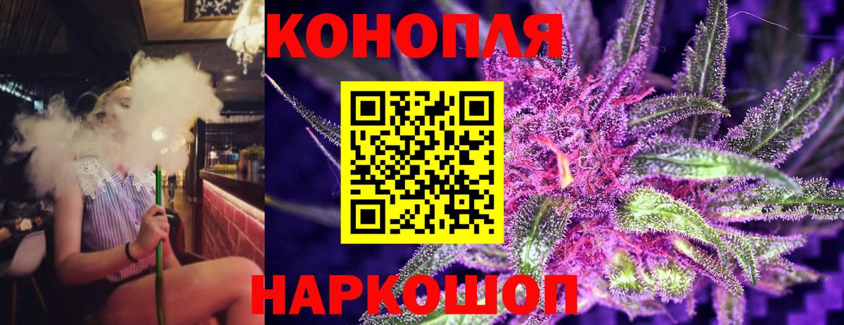 Канабис планчик Александров